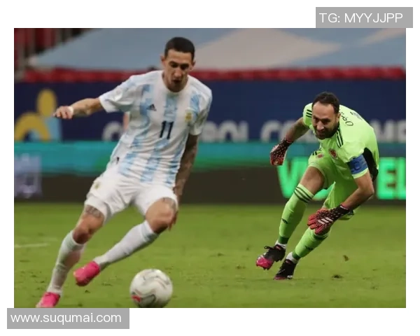 美洲杯精彩对决委内瑞拉迎战阿根廷直播全程回顾与分析