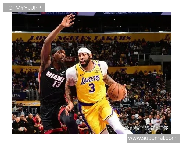 湖人对决热火第二场精彩回放全场分析与精彩瞬间重温