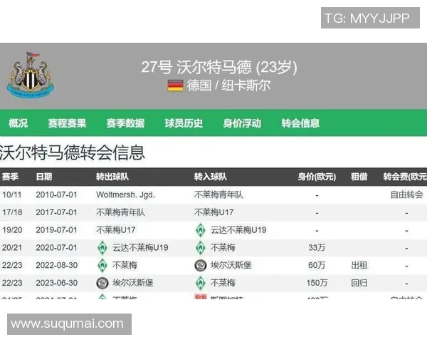0-1,沃尔特马德自摆乌龙酿悲惨剧,纽卡不敌英超第9,4轮不败完结